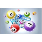 Bingo en alquiler